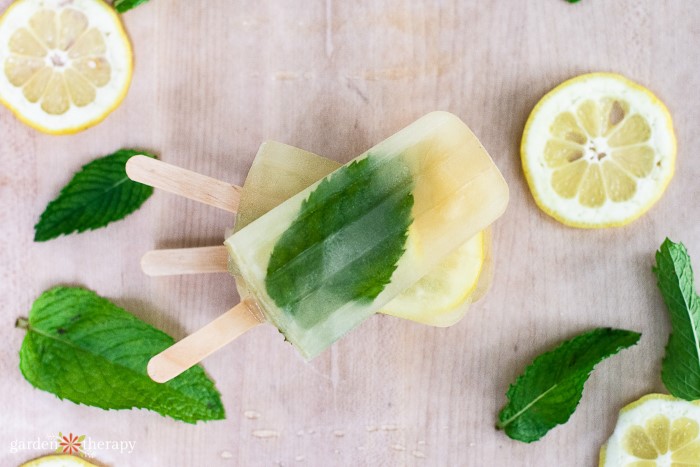 Mojito popsicles φτιαγμένα με λεμόνι και μέντα.