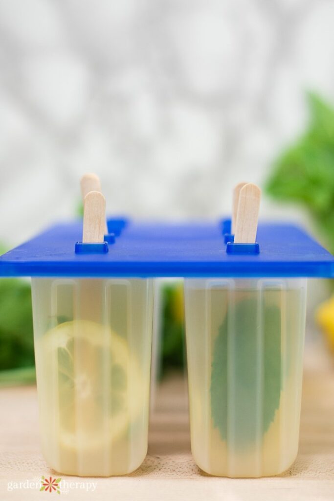Μούχλα popsicle με φέτες λεμονιού και μέντας