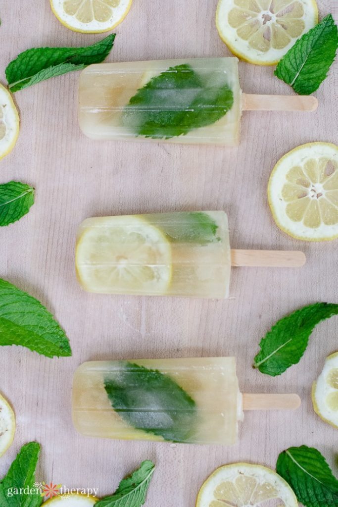 Λεμόνι και μέντα mojito popsicles