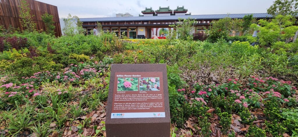 Jurong Lake Edible Flower Garden Σιγκαπούρη