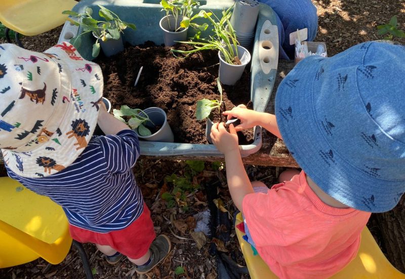 Τα παιδιά φυτεύουν λάχανο στο Mindspace Stamford Community Garden