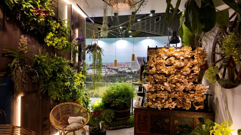 Balcony Gardenss SGF 2024