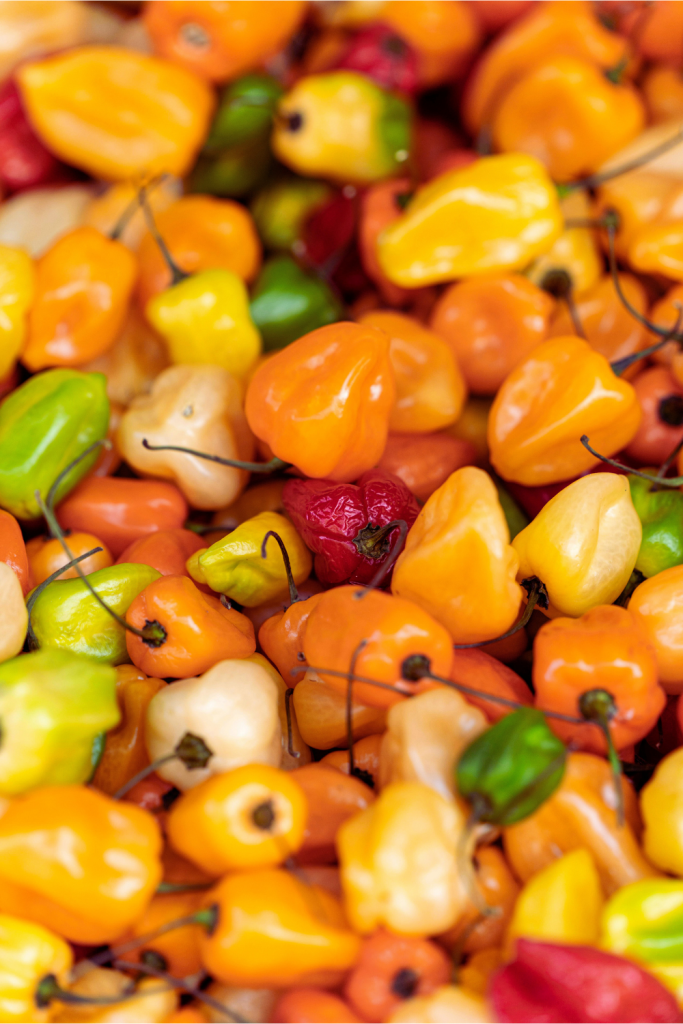 Διάφορες πιπεριές Habaneros