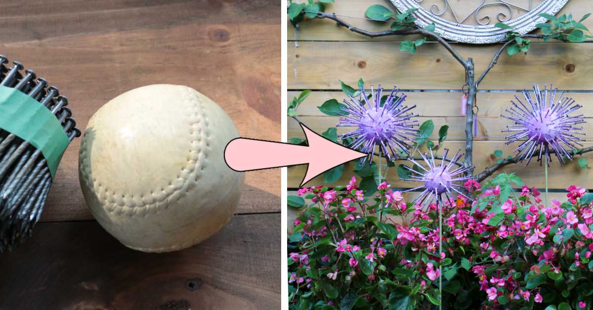 Κολάζ με softball και κήπο τέχνης alliums από softballs.