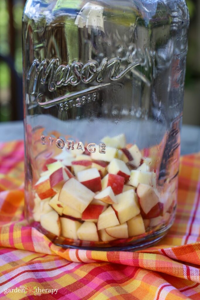 Φρούτα για sangria σε στάμνα