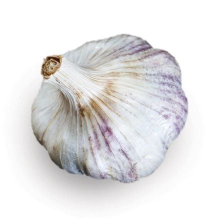 Sicilian αγκινάρα softneck σκόρδο - πιστοποιημένο usda βιολογικό