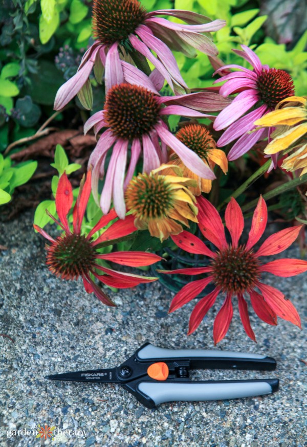 Το Fiskars Softgrip® Micro-Tip® Snips Snips μπροστά από τα Coneflowers σε κόκκινο, κίτρινο και μοβ